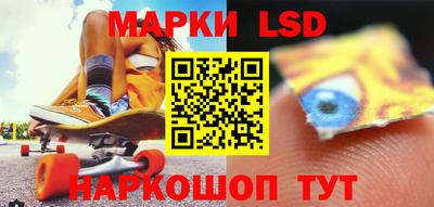 амф Владимир