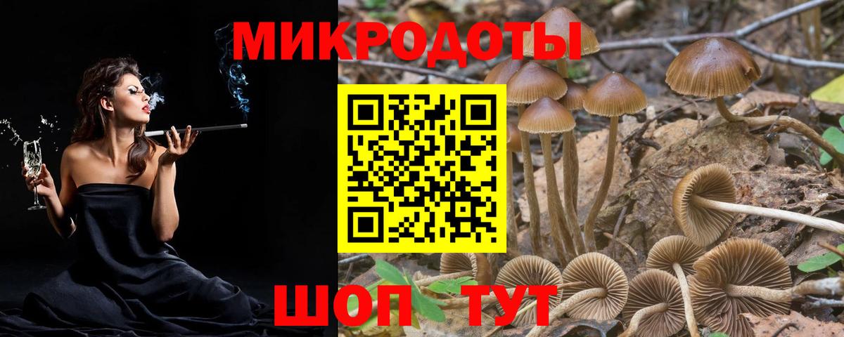 Егорьевск  Псилоцибиновые грибы мухоморы  Псилоцибиновые грибы мухоморы  Вход с VPN 