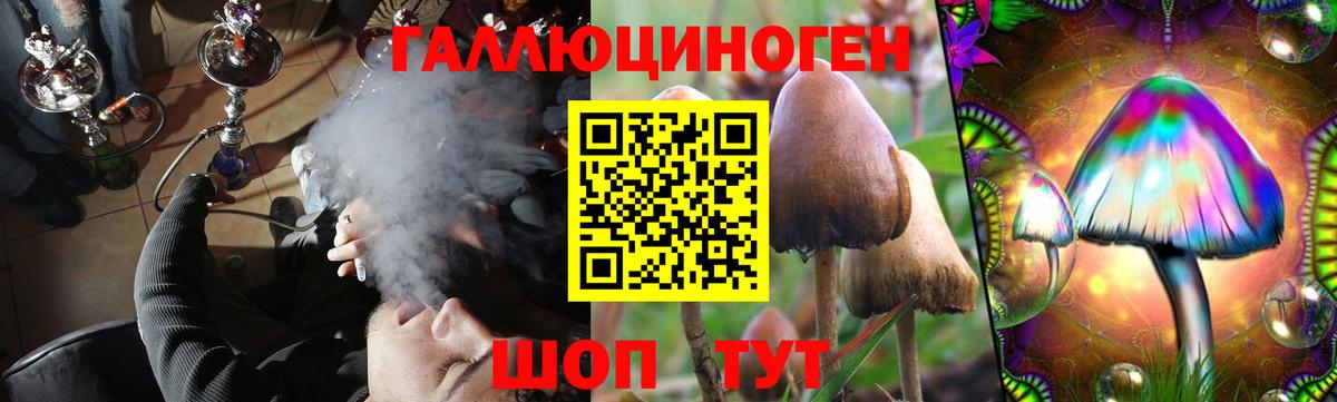 Псилоцибиновые грибы ЛСД Егорьевск